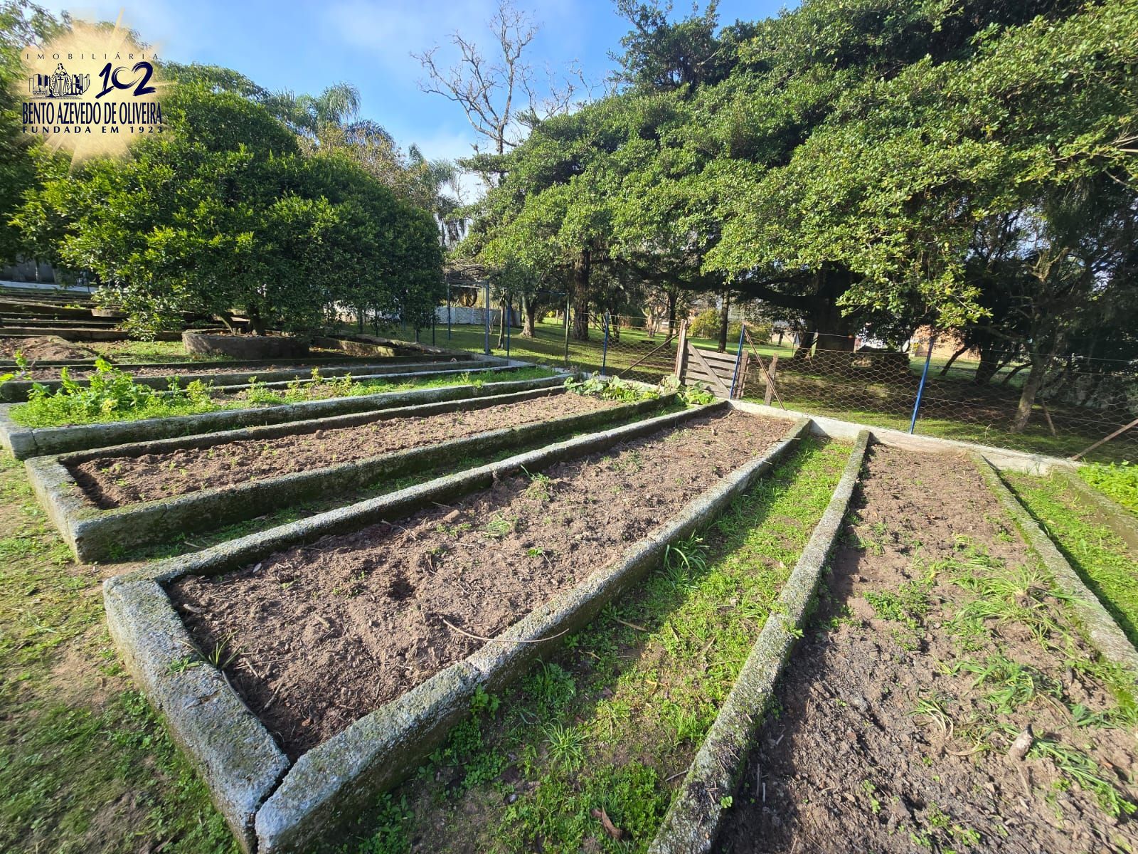 Chácara, 3 quartos, 10000 m² - Foto 4