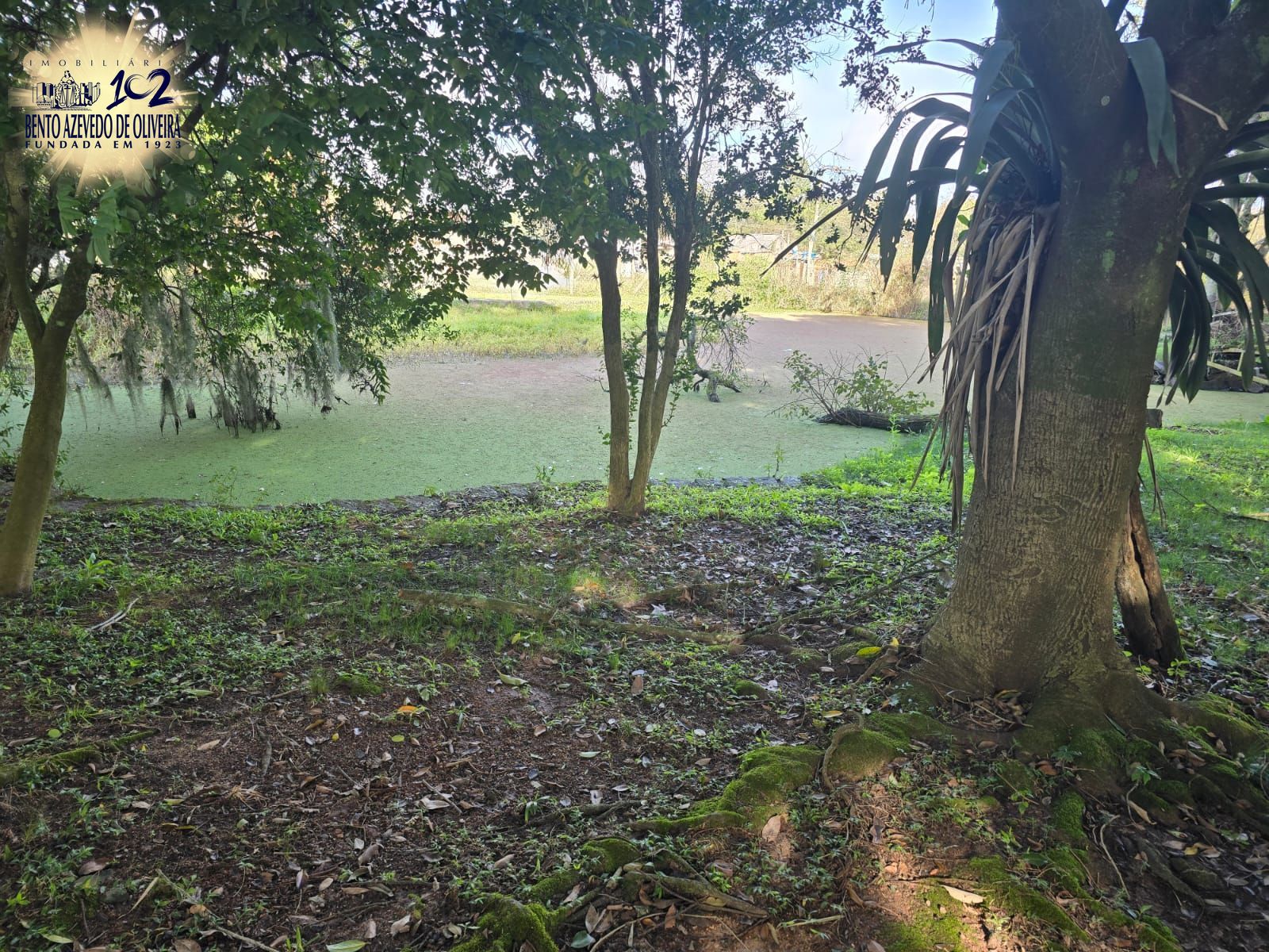 Chácara, 3 quartos, 10000 m² - Foto 10