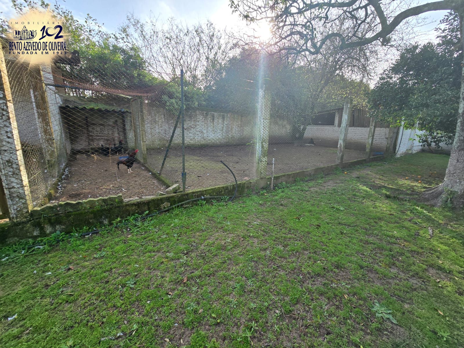 Chácara, 3 quartos, 10000 m² - Foto 21