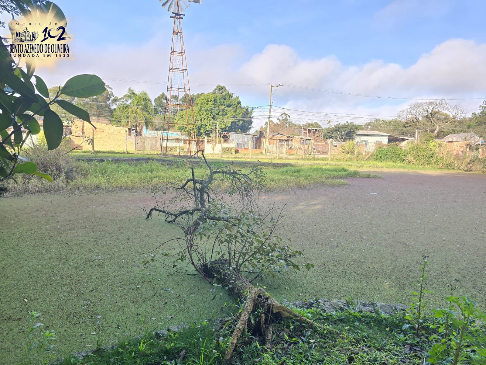 Chácara, 3 quartos, 10000 m² - Foto 17