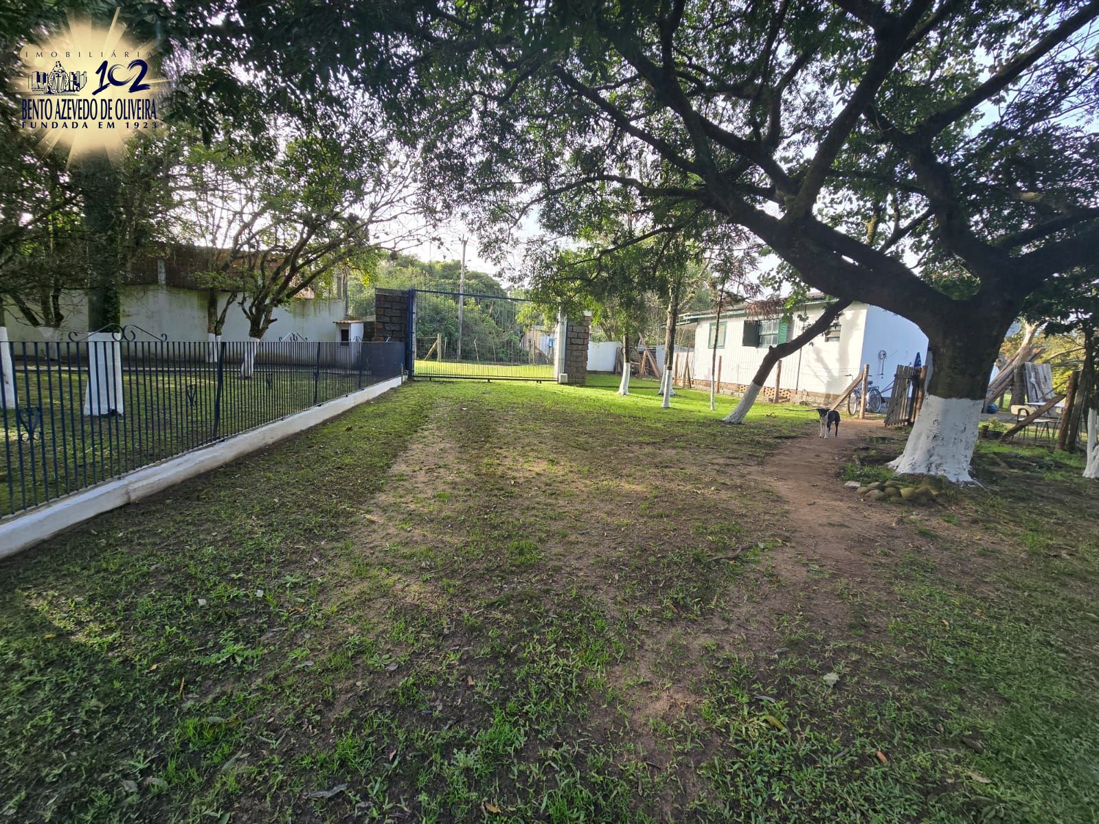 Chácara, 3 quartos, 10000 m² - Foto 16