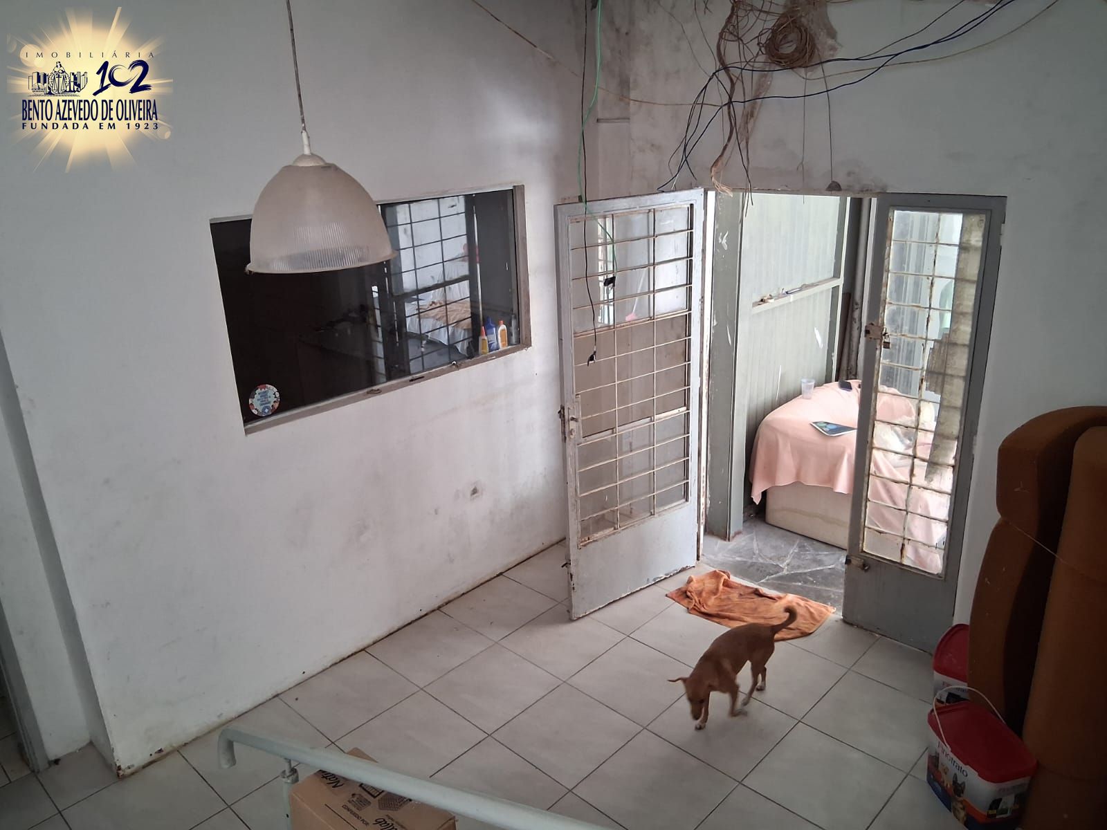 Depósito-Galpão, 289 m² - Foto 7