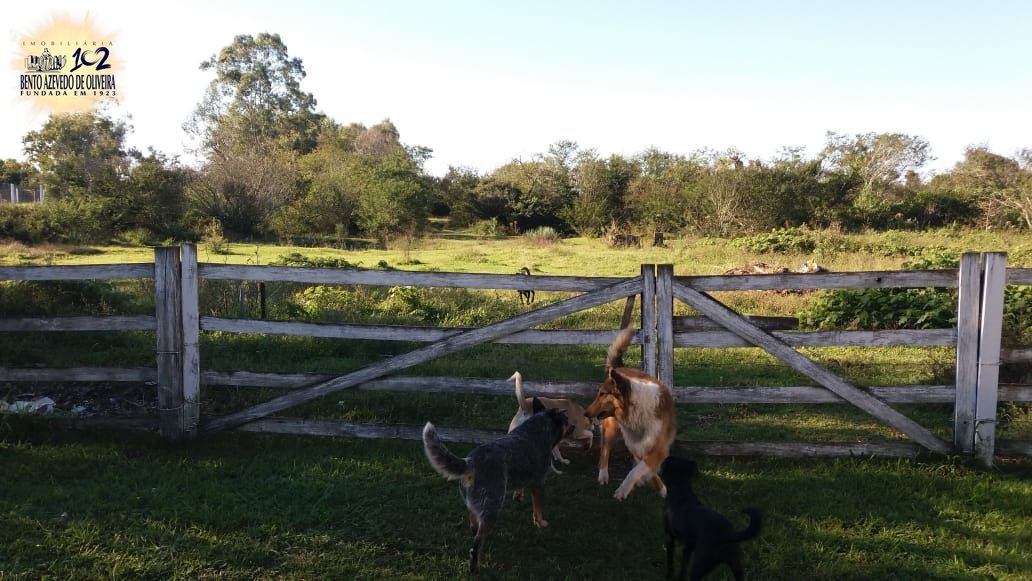 Chácara, 1 quarto, 3 hectares - Foto 5