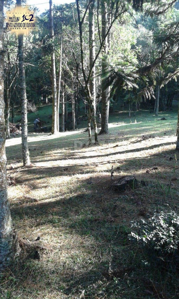 Casa, 3 quartos, 230 m² - Foto 35