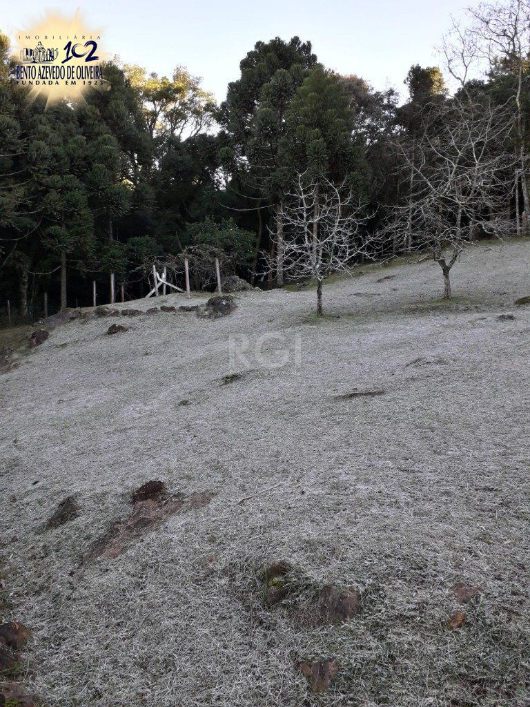 Casa, 3 quartos, 230 m² - Foto 46