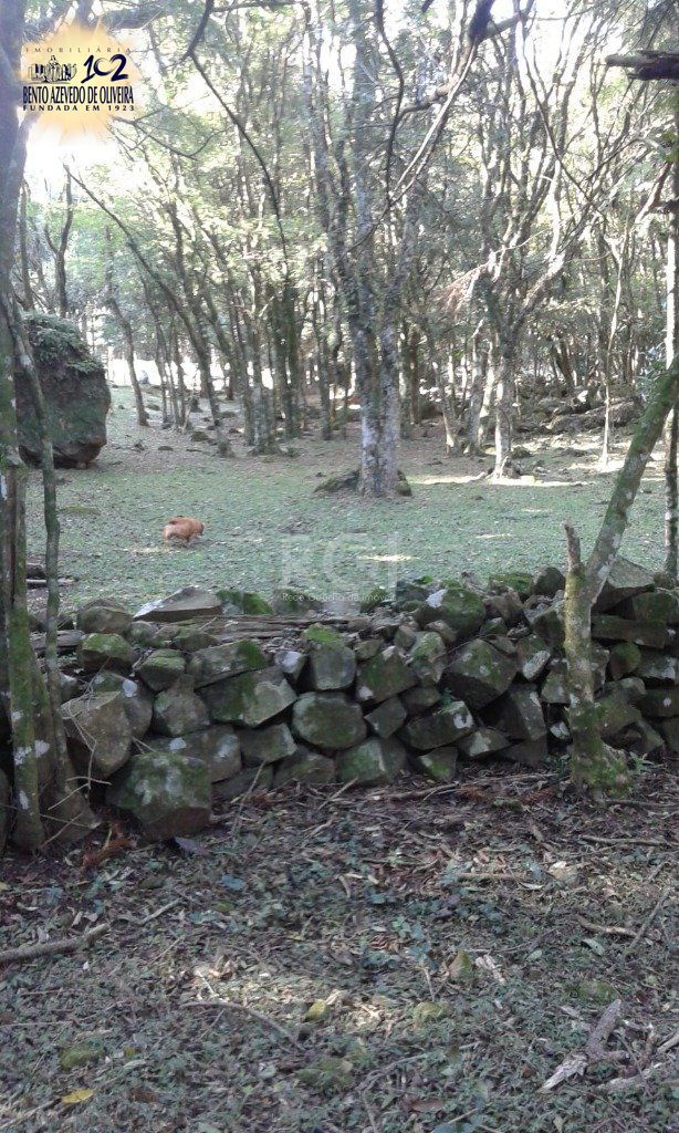 Casa, 3 quartos, 230 m² - Foto 34