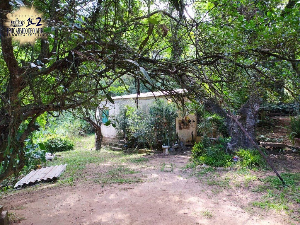 Terreno, 3 hectares - Foto 3