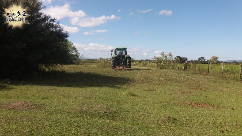 Chácara, 1 quarto, 3 hectares - Foto 21