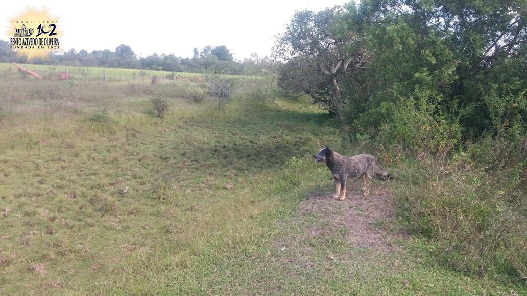 Chácara, 1 quarto, 3 hectares - Foto 24