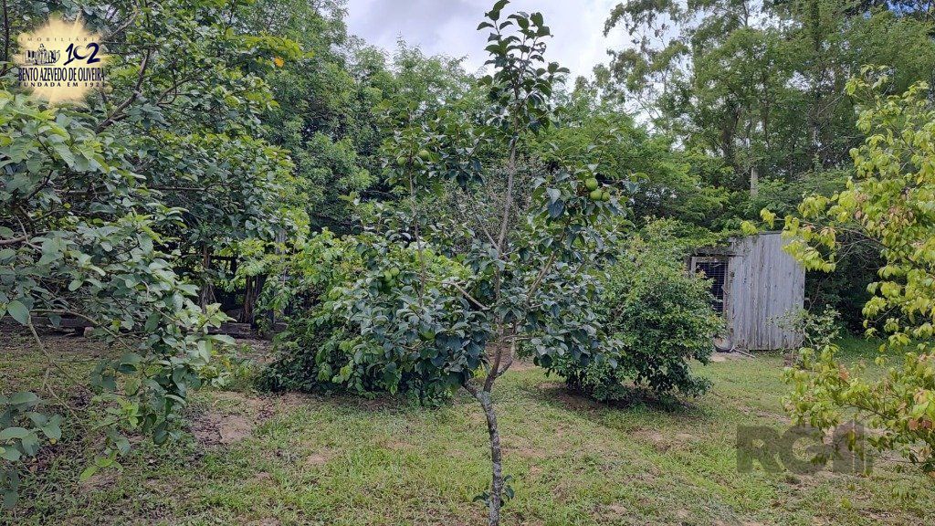 Chácara, 4 quartos, 2 hectares - Foto 44