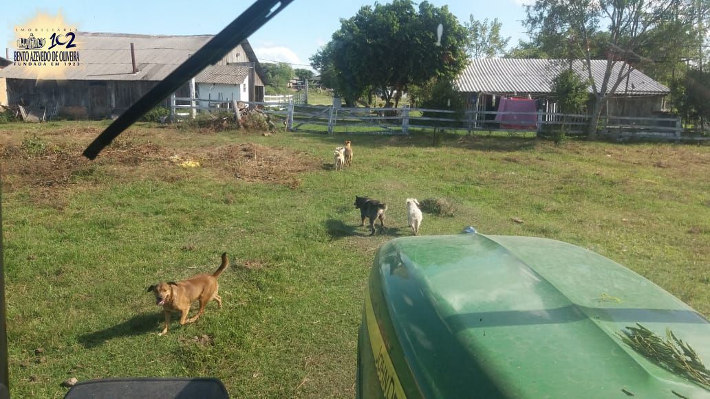 Chácara, 1 quarto, 3 hectares - Foto 12