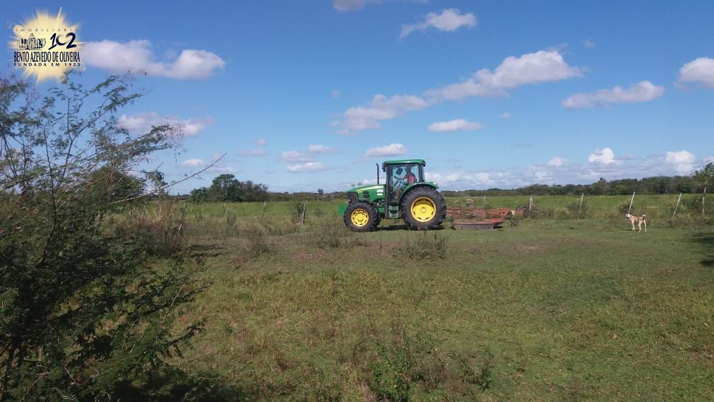 Chácara, 1 quarto, 3 hectares - Foto 14