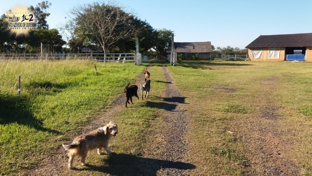 Chácara, 1 quarto, 3 hectares - Foto 16