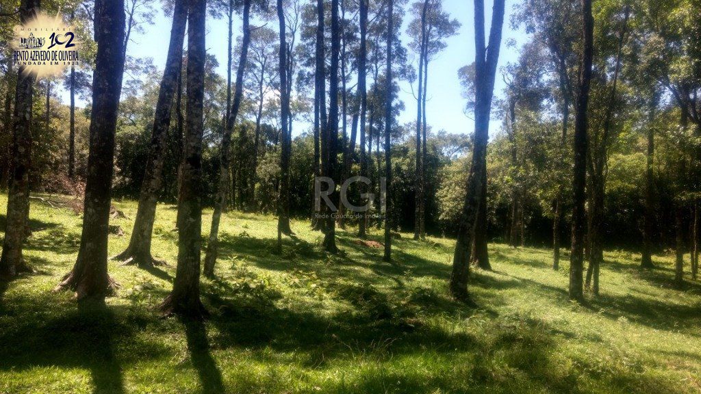 Casa, 3 quartos, 230 m² - Foto 26