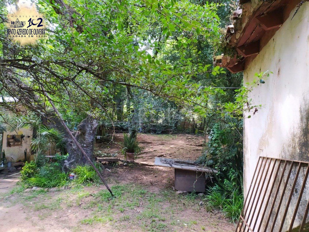 Terreno, 3 hectares - Foto 6