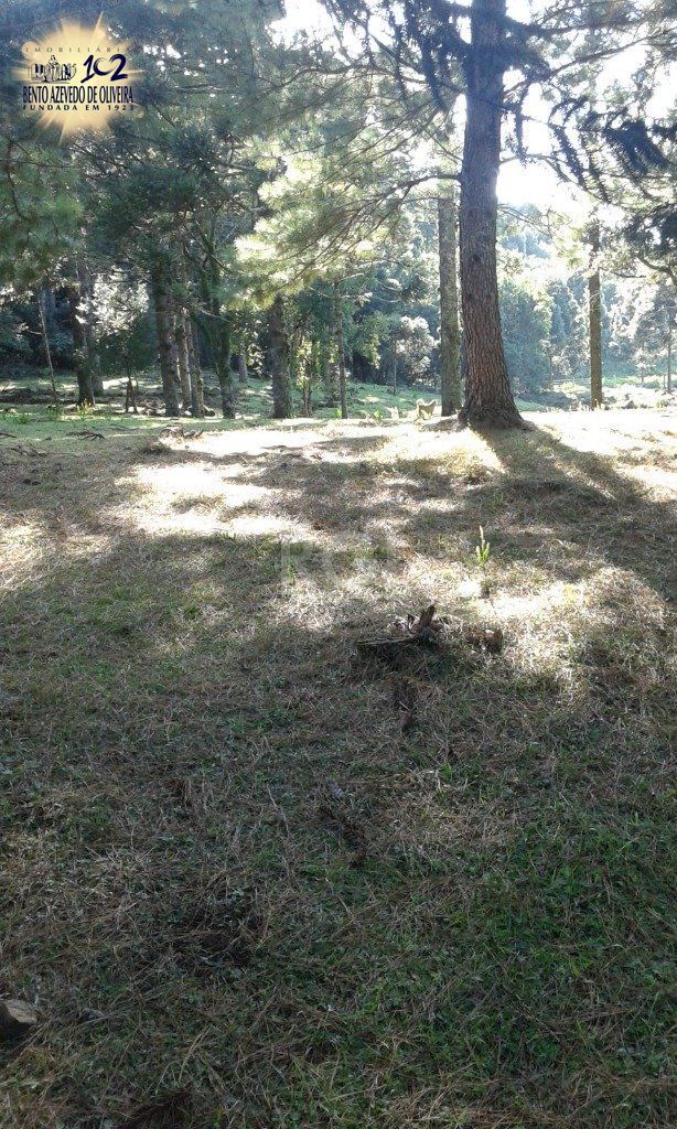 Casa, 3 quartos, 230 m² - Foto 38