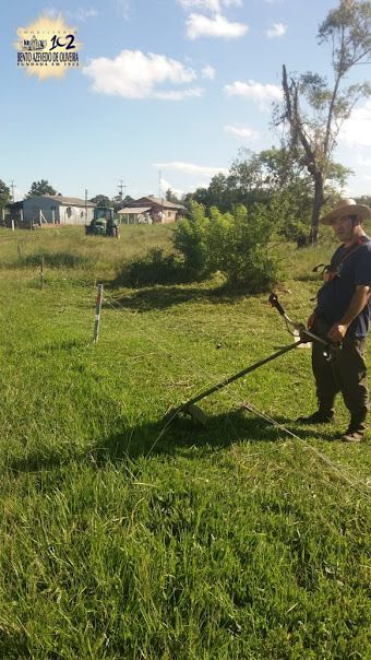 Chácara, 1 quarto, 3 hectares - Foto 15