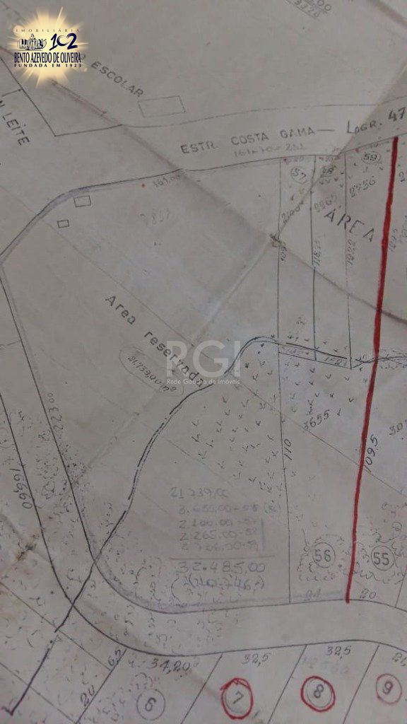 Terreno, 3 hectares - Foto 2