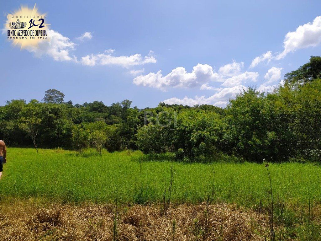 Terreno, 3 hectares - Foto 1