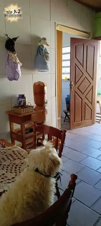 Casa, 3 quartos, 136 m² - Foto 17