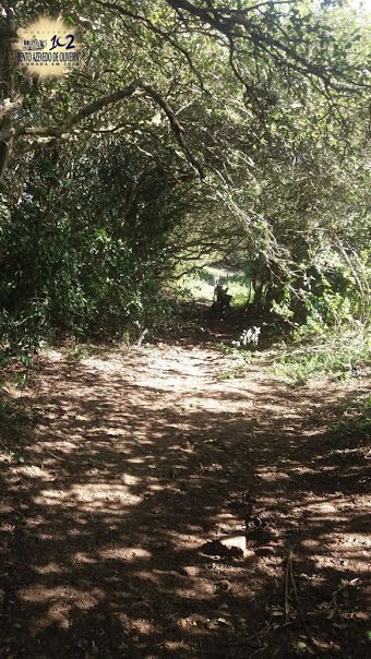 Chácara, 1 quarto, 3 hectares - Foto 19