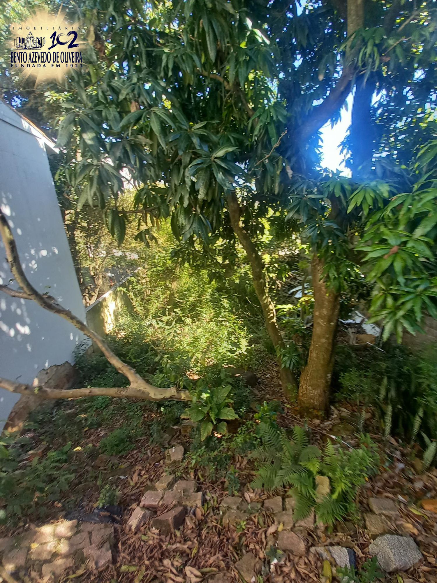 Casa, 2 quartos, 150 m² - Foto 3