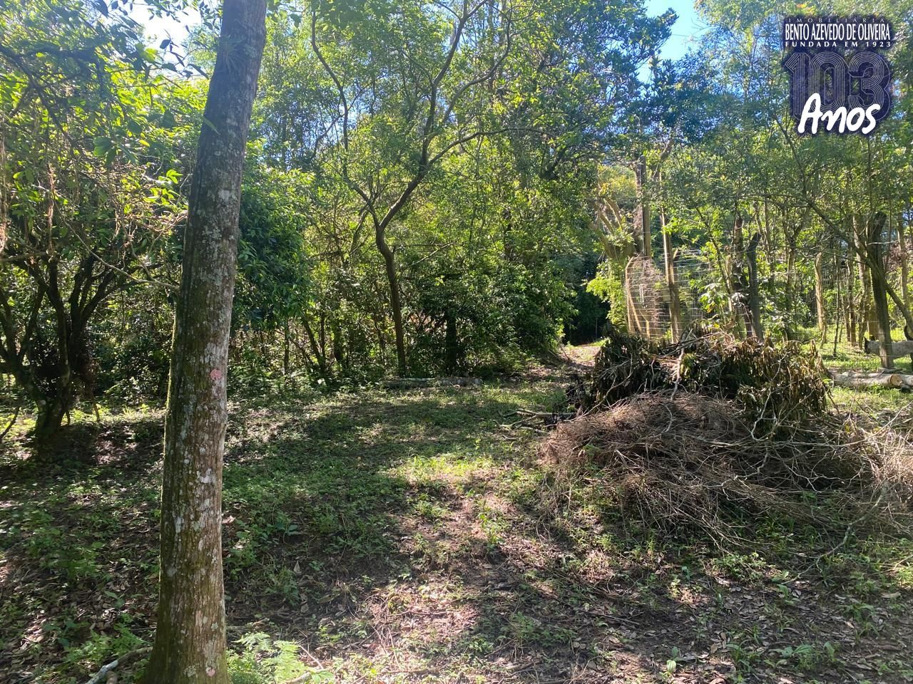 Terreno, 9750 m² - Foto 2