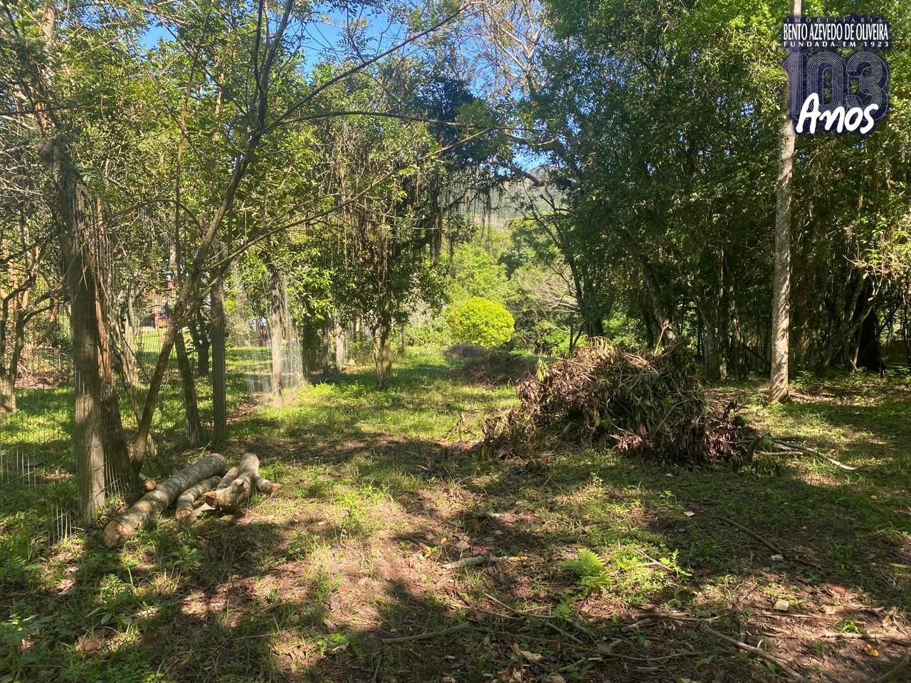 Terreno, 9750 m² - Foto 27