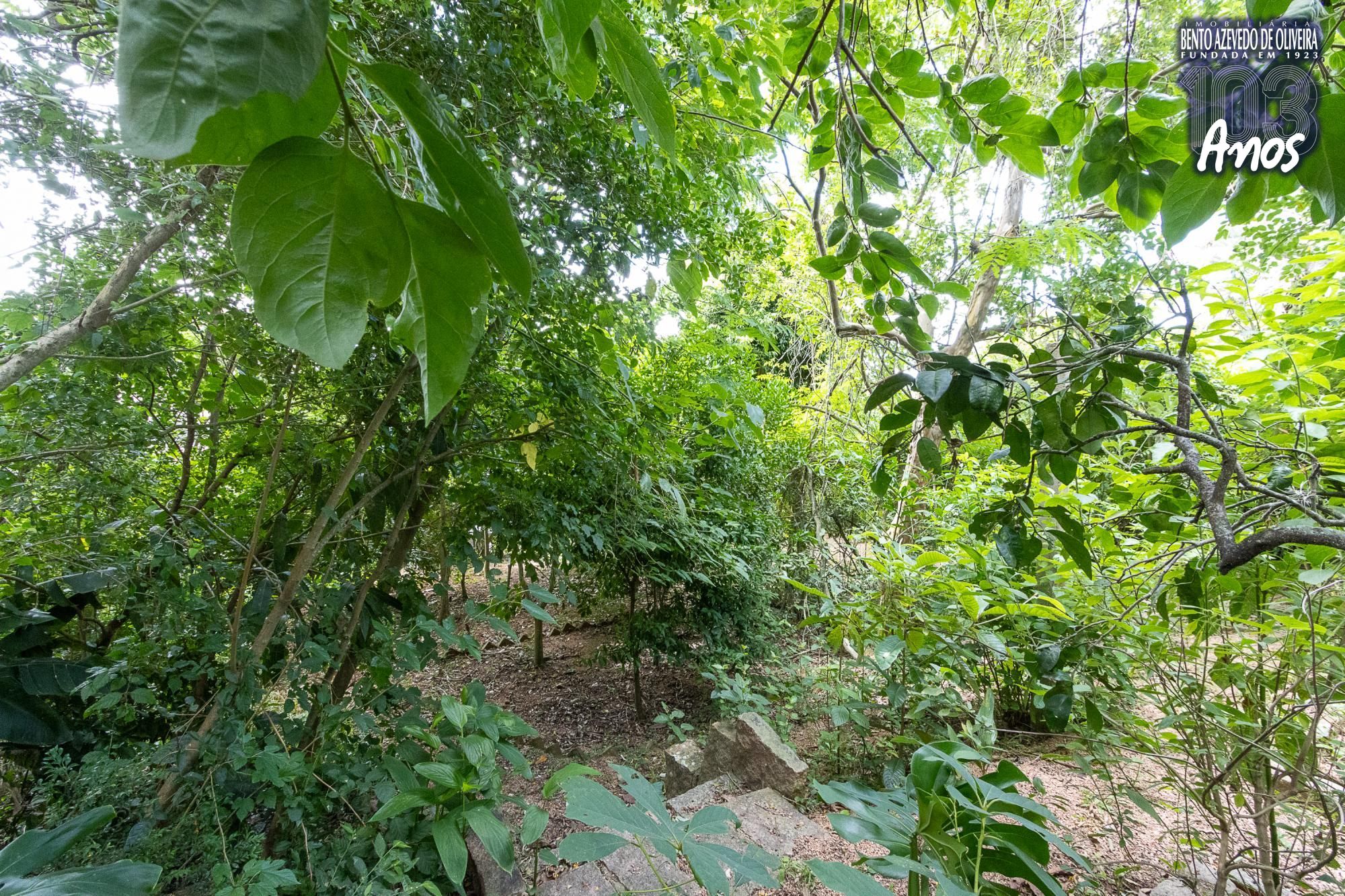 Casa, 3 quartos, 185 m² - Foto 42