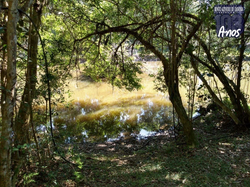 Sítio, 4 quartos, 8 hectares - Foto 41