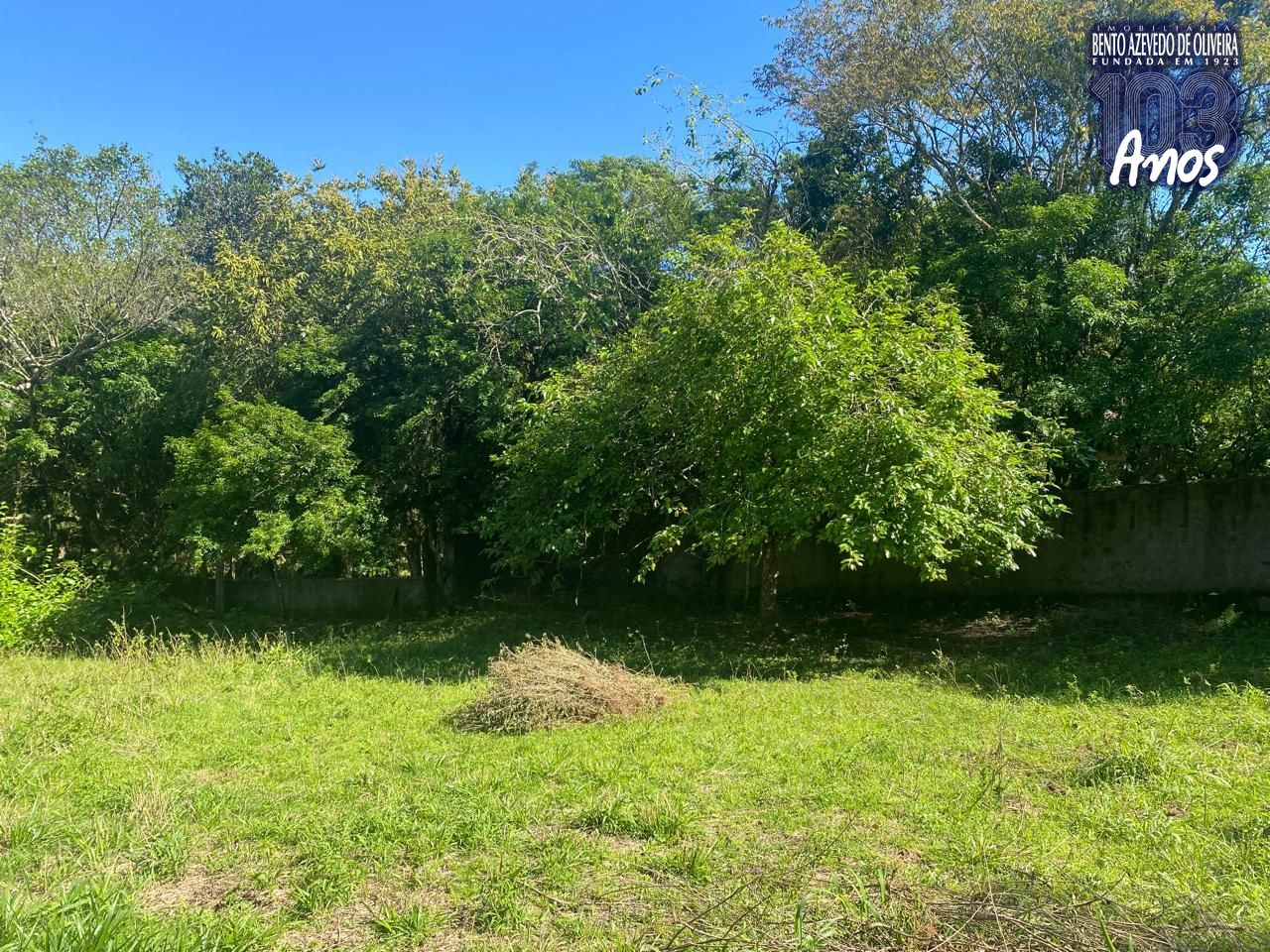 Terreno, 9750 m² - Foto 10