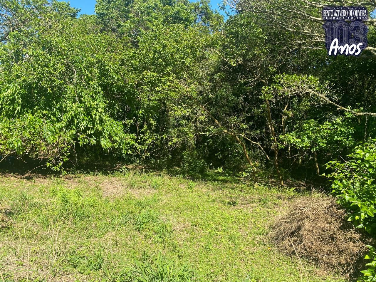 Terreno, 9750 m² - Foto 16