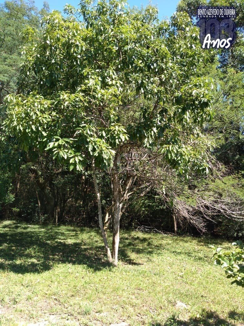 Sítio, 4 quartos, 8 hectares - Foto 40
