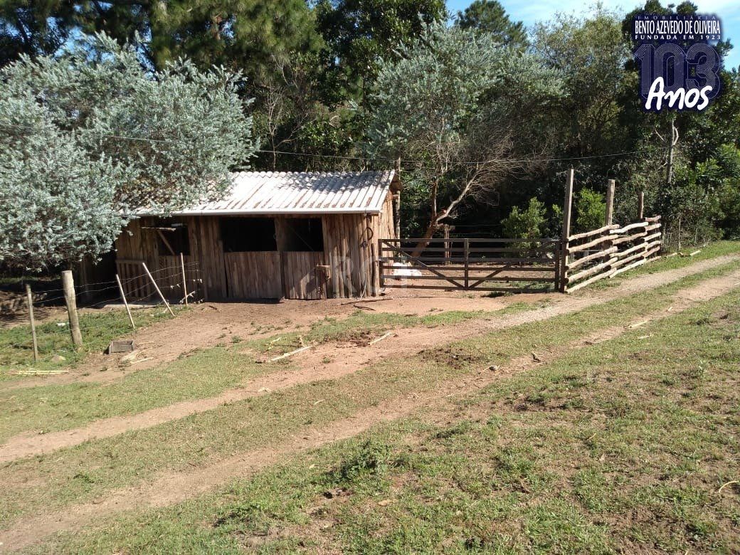 Sítio, 4 quartos, 8 hectares - Foto 37