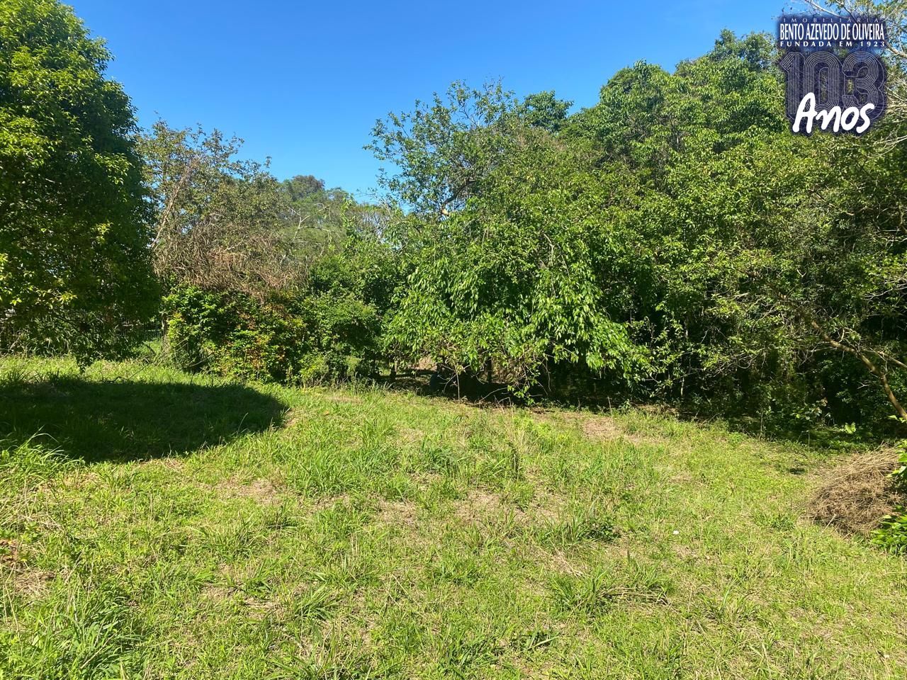 Terreno, 9750 m² - Foto 14