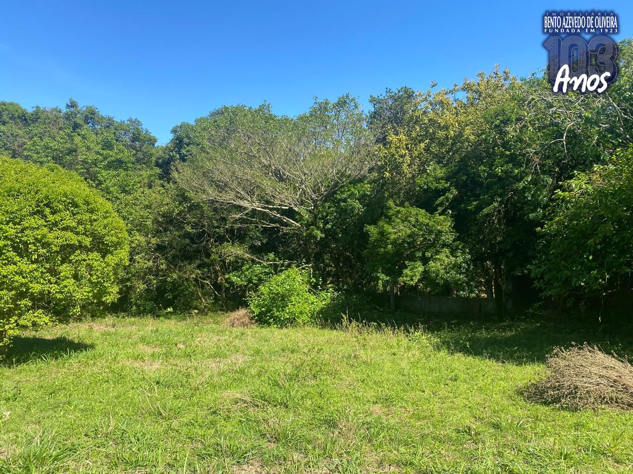 Terreno, 9750 m² - Foto 11