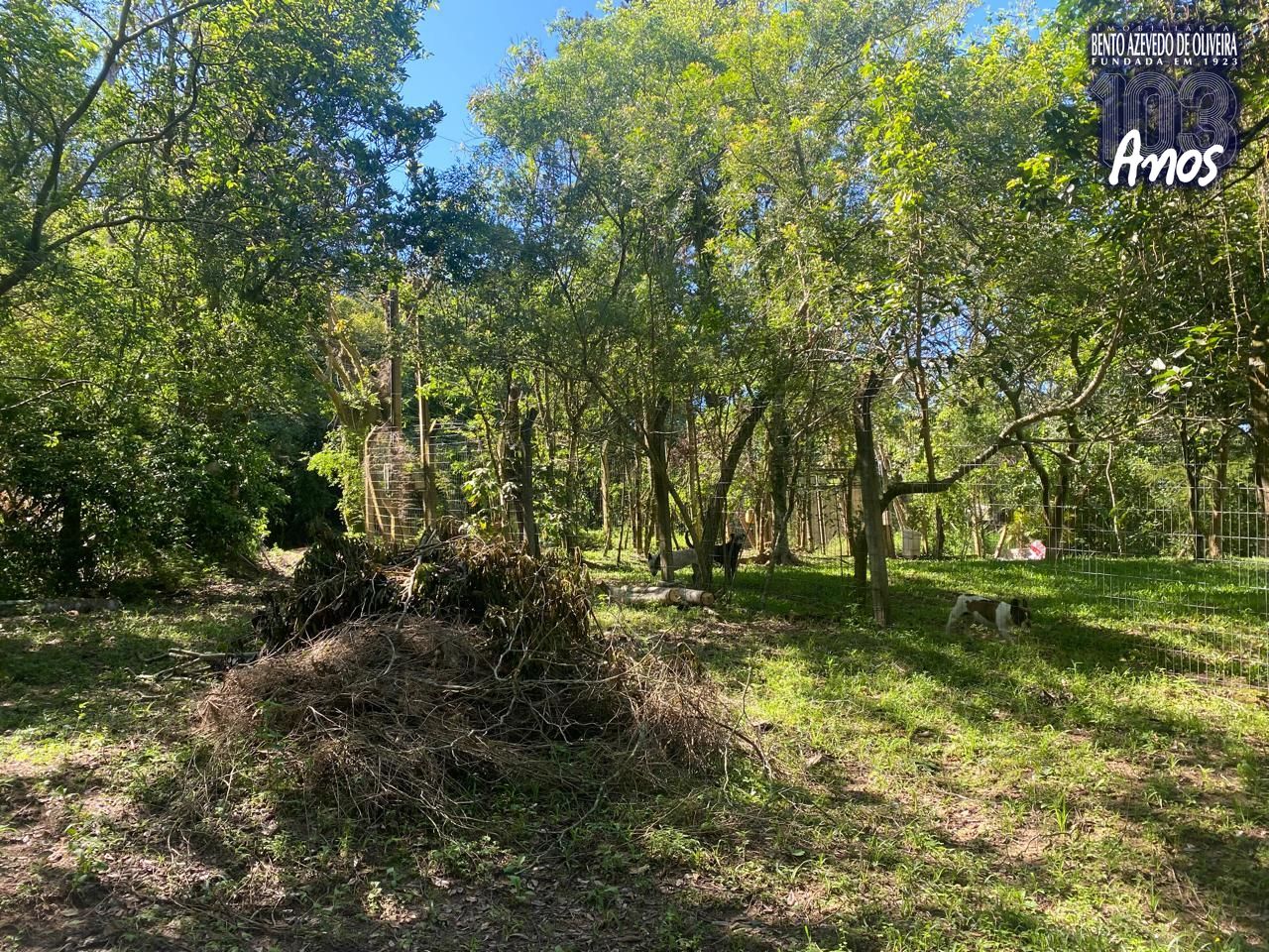Terreno, 9750 m² - Foto 3