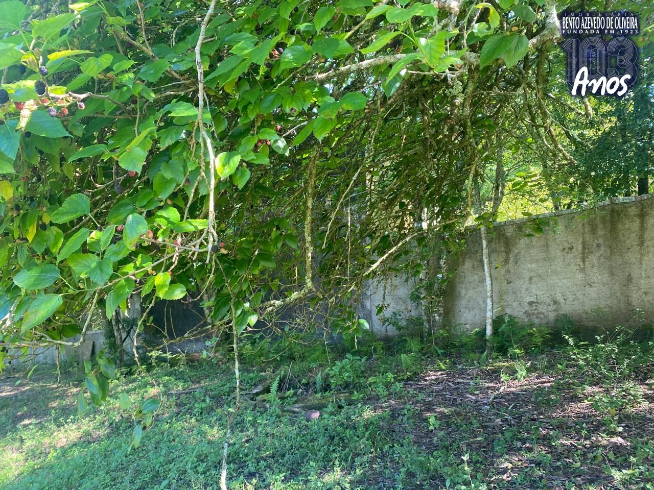 Terreno, 9750 m² - Foto 13