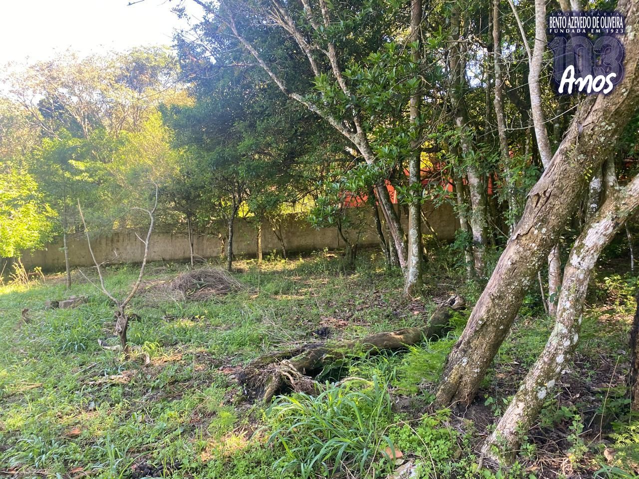 Terreno, 9750 m² - Foto 7