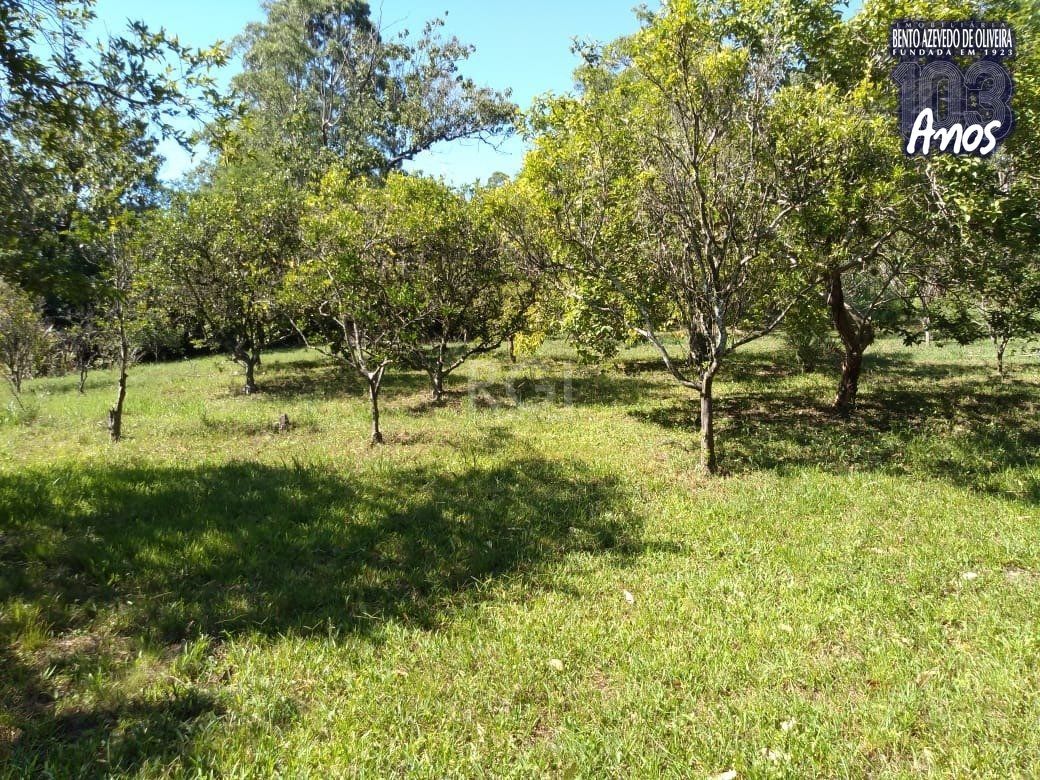 Sítio, 4 quartos, 8 hectares - Foto 6