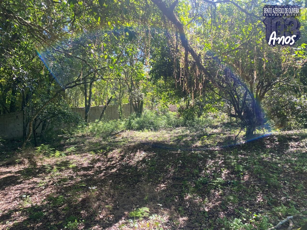Terreno, 9750 m² - Foto 1