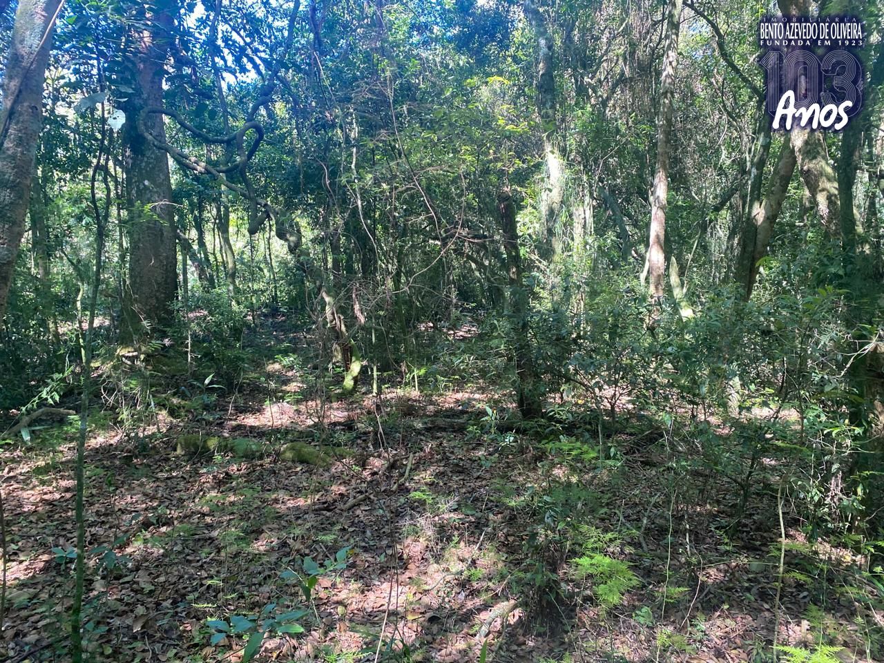 Terreno, 9750 m² - Foto 19