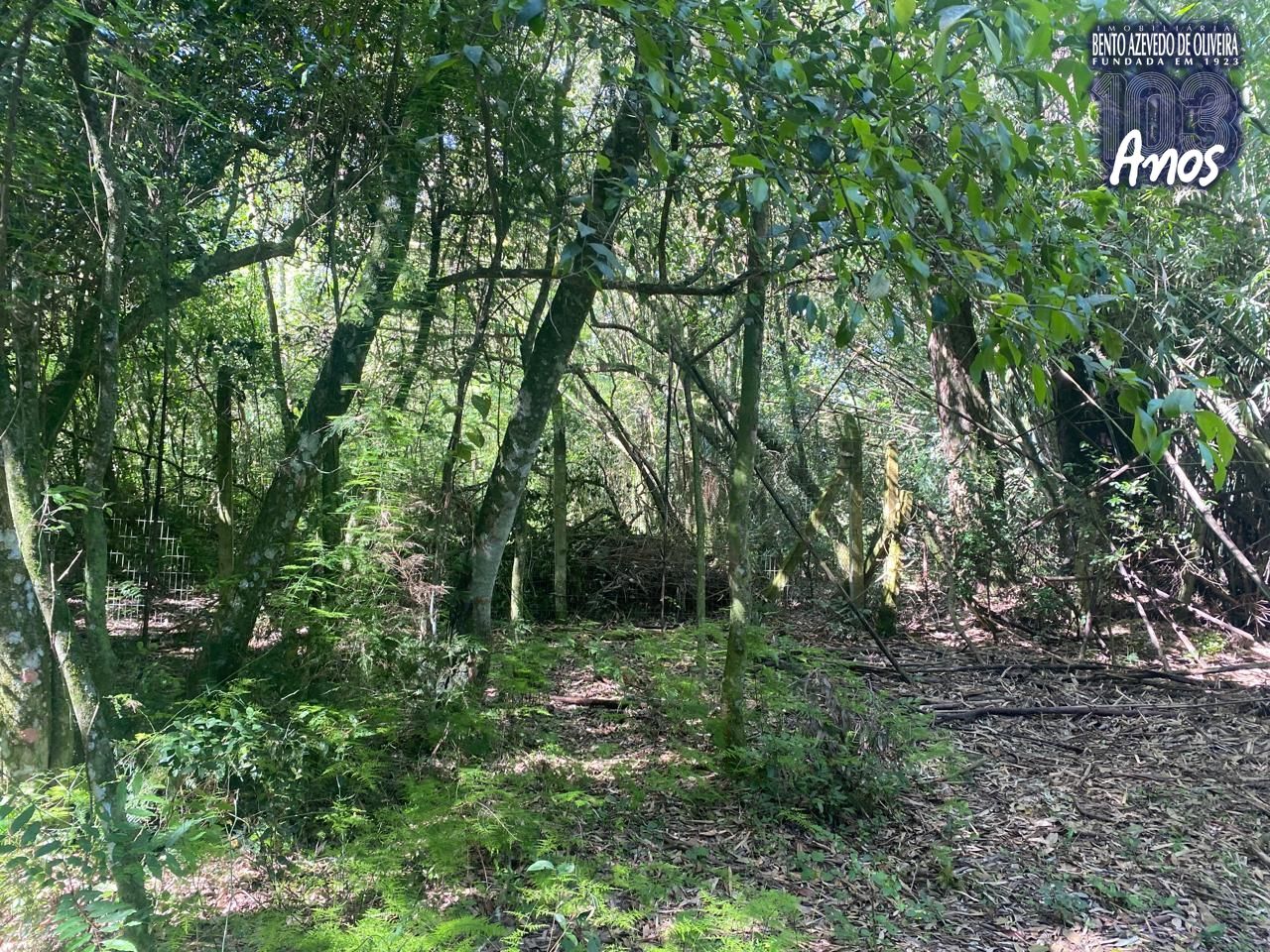 Terreno, 9750 m² - Foto 23