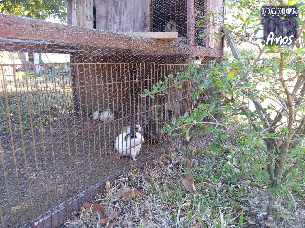 Sítio, 4 quartos, 8 hectares - Foto 34