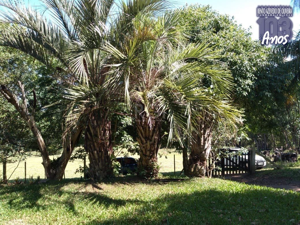 Sítio, 4 quartos, 8 hectares - Foto 10