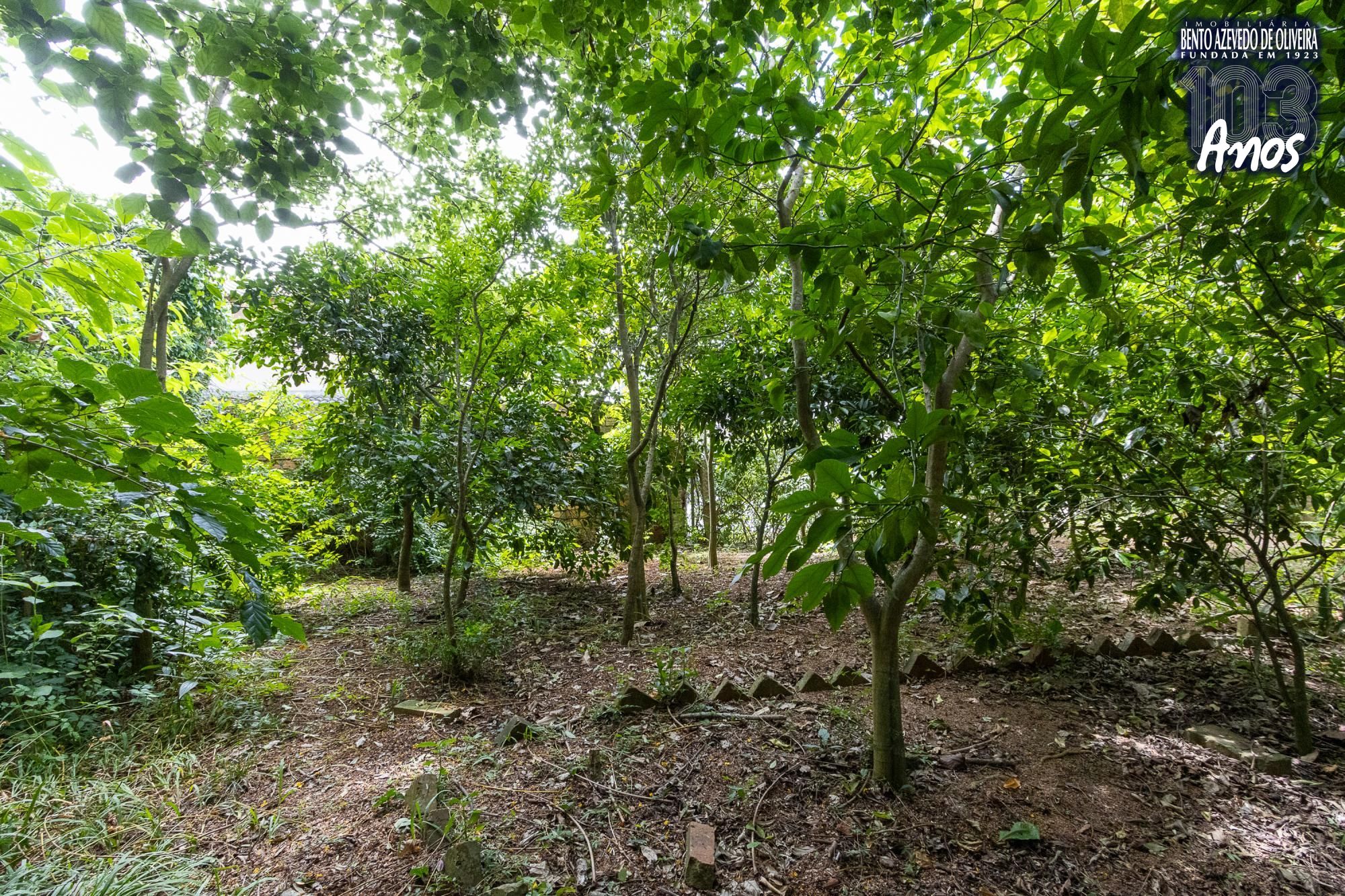 Casa, 3 quartos, 185 m² - Foto 43