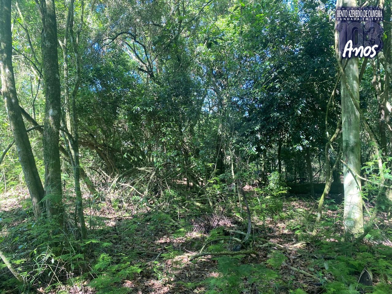Terreno, 9750 m² - Foto 17