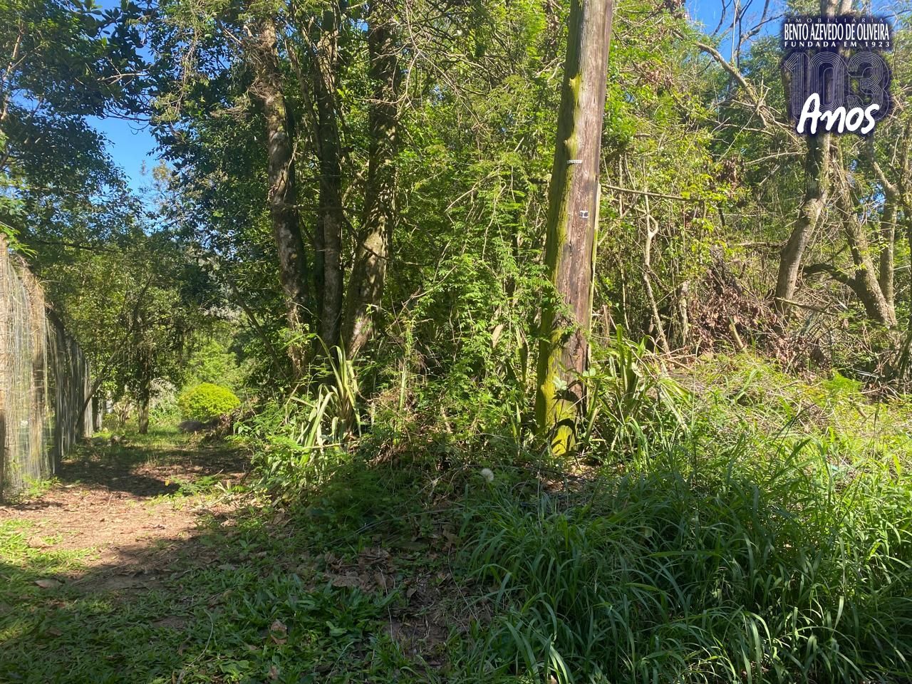 Terreno, 9750 m² - Foto 28