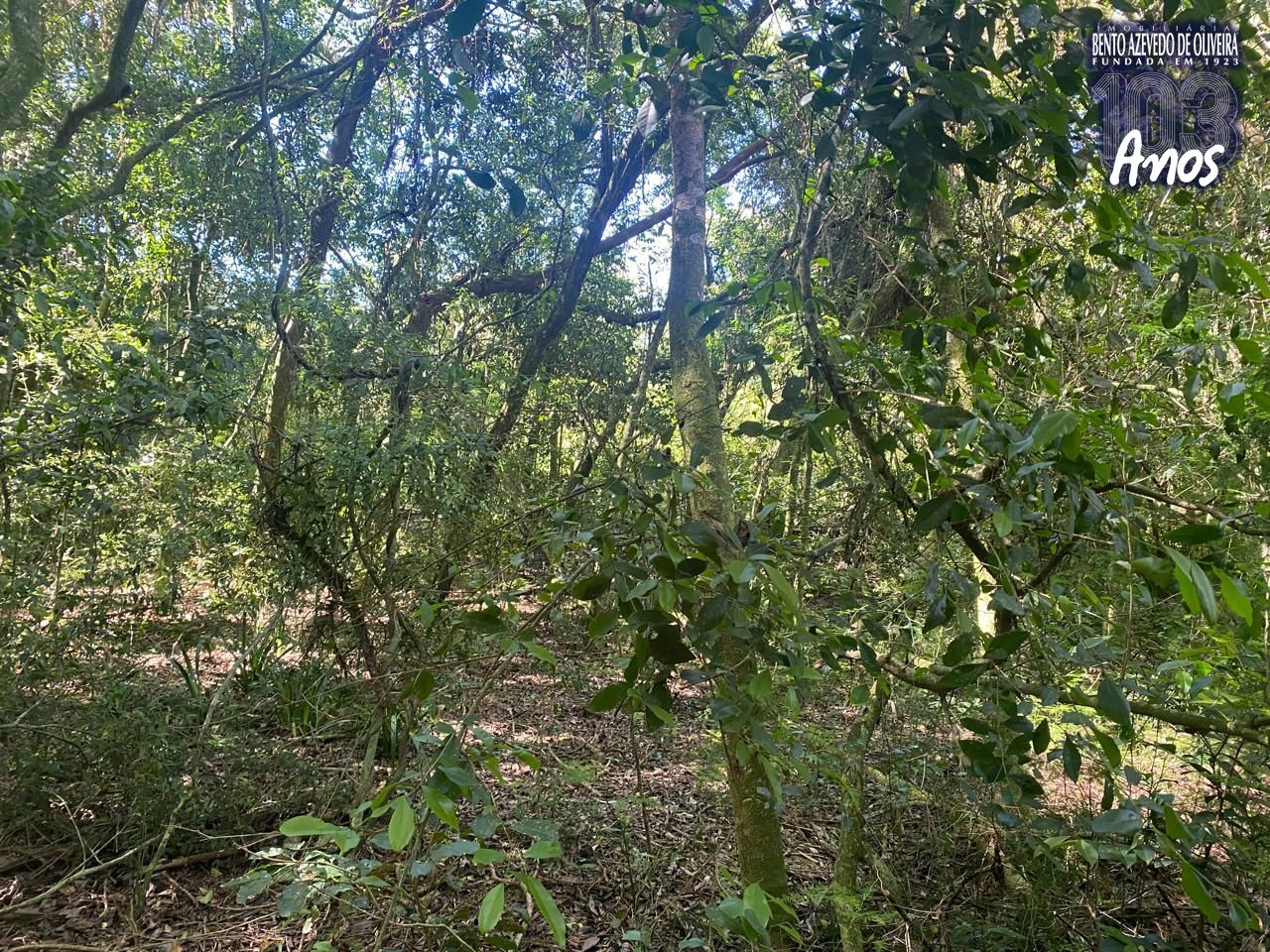 Terreno, 9750 m² - Foto 22