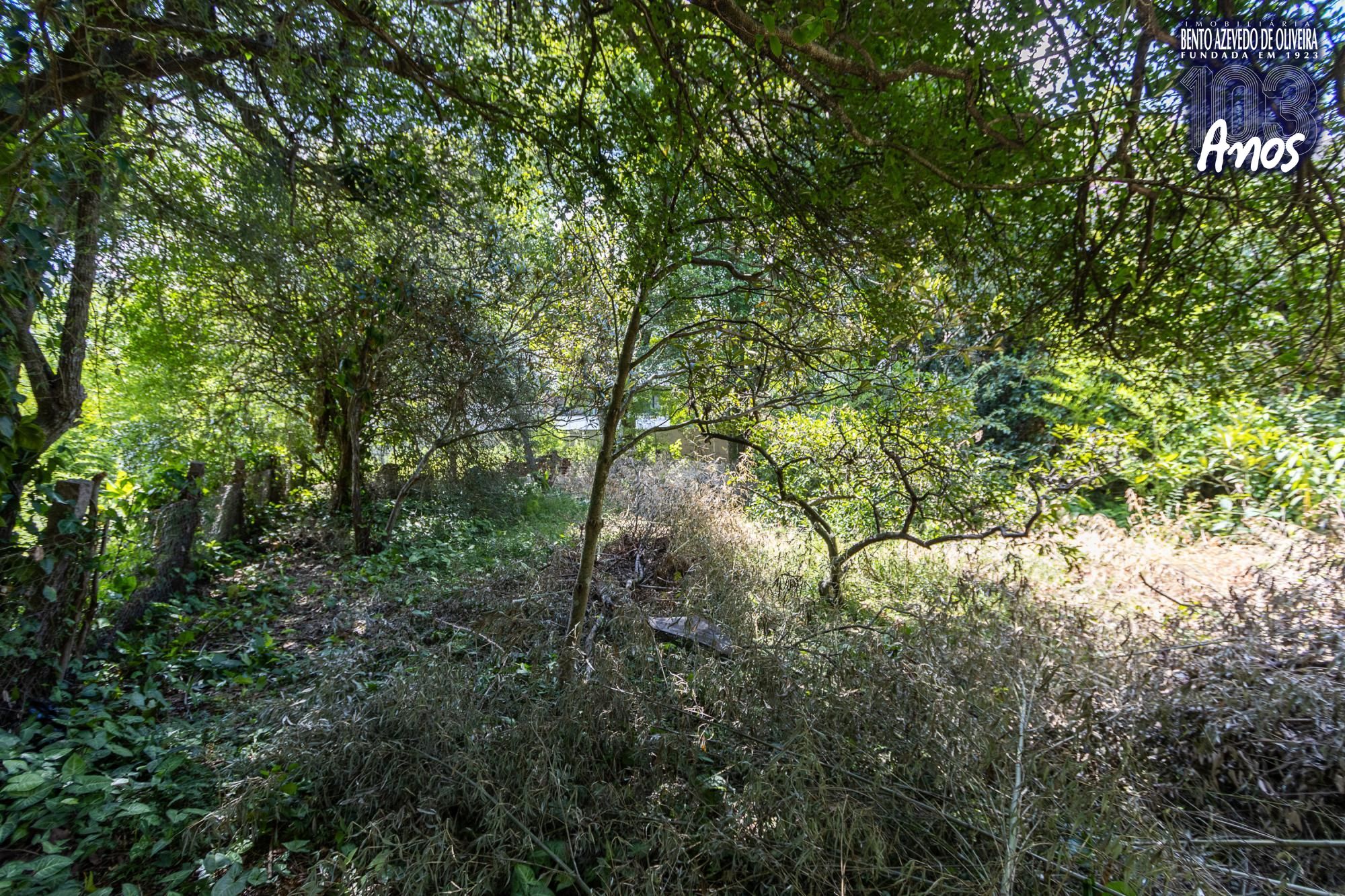 Terreno, 1 m² - Foto 14